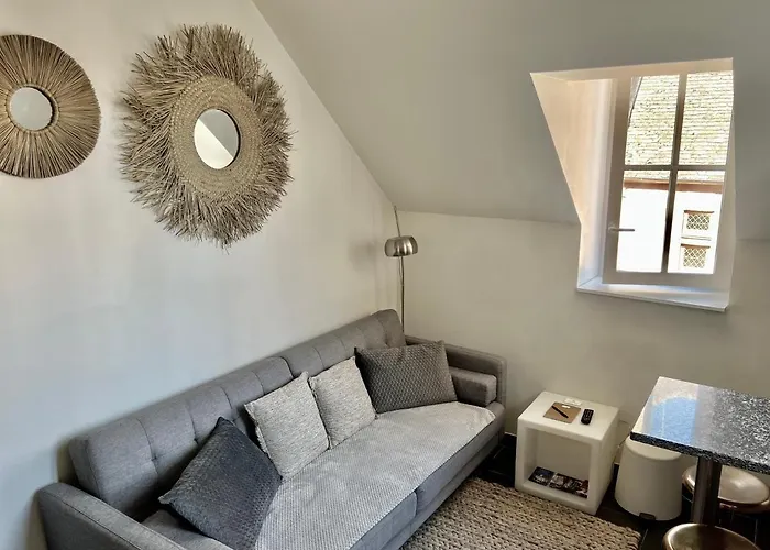 Apartman Le P'tit : Centre Historique De Dijon